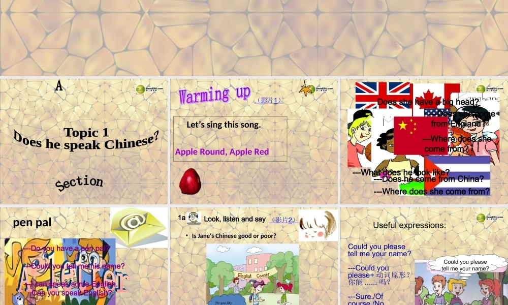 仁爱初中英语七上《Unit 3Topic 1 Does he speak ChineseA》PPT课件 (5).ppt