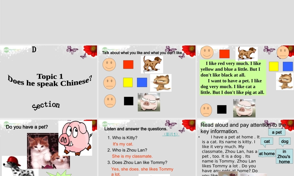 仁爱初中英语七上《Unit 3Topic 1 Does he speak ChineseD》PPT课件 (1).ppt