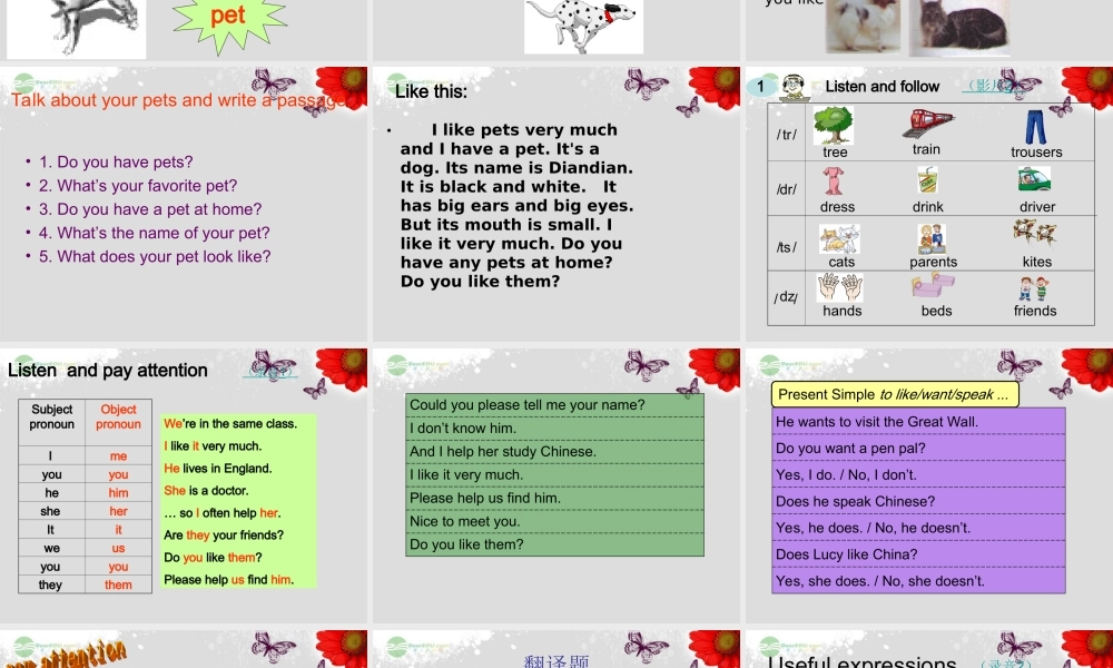 仁爱初中英语七上《Unit 3Topic 1 Does he speak ChineseD》PPT课件 (1).ppt