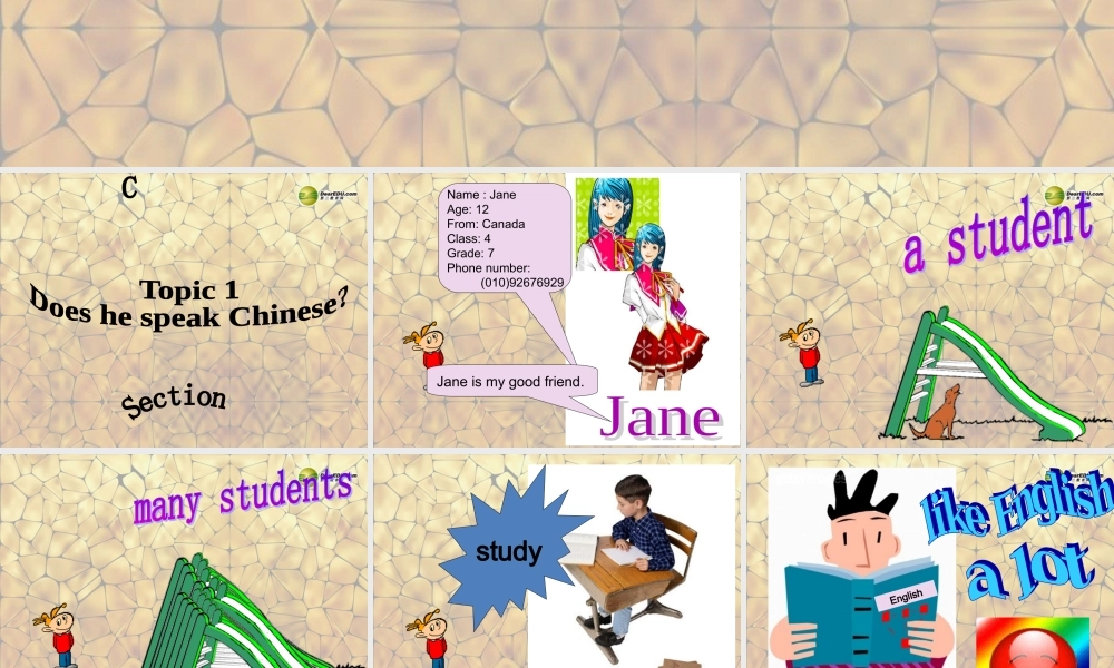 仁爱初中英语七上《Unit 3Topic 1 Does he speak ChineseC》PPT课件 (3).ppt