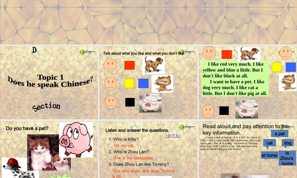 仁爱初中英语七上《Unit 3Topic 1 Does he speak ChineseD》PPT课件 (2).ppt