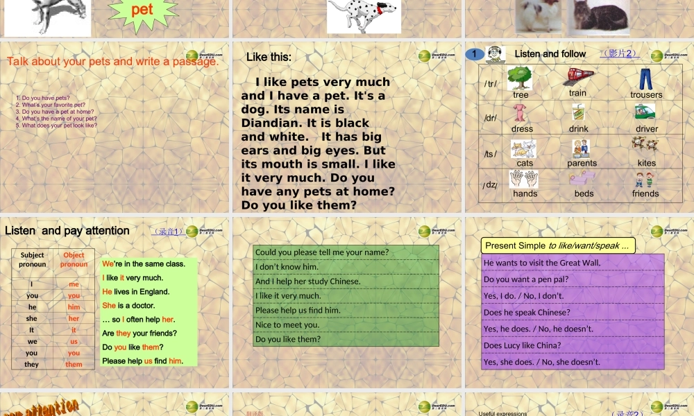 仁爱初中英语七上《Unit 3Topic 1 Does he speak ChineseD》PPT课件 (2).ppt