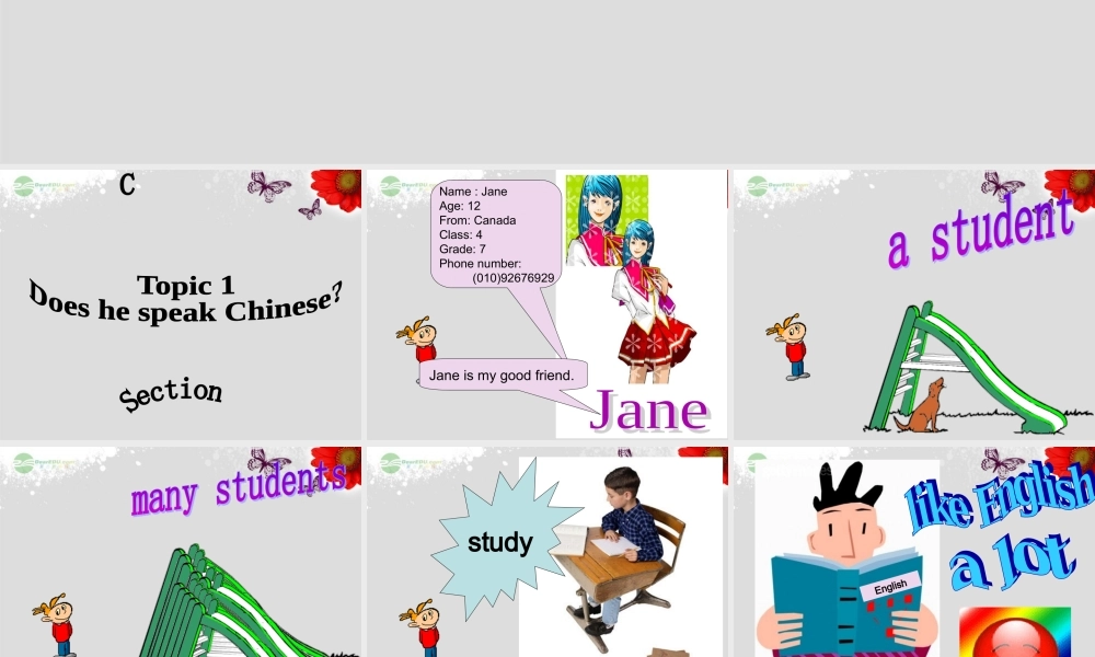 仁爱初中英语七上《Unit 3Topic 1 Does he speak ChineseC》PPT课件 (2).ppt