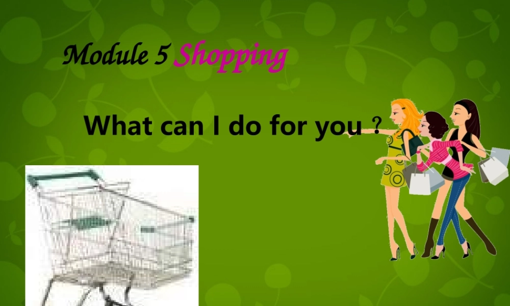 山东省茌平县洪屯镇中学七年级英语下册 Moudle 5 Unit 1 What can I do for you课件 .ppt