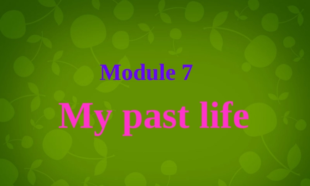 山东省茌平县洪屯镇中学七年级英语下册 Moudle 7 Unit 1 I was born in a small village课件 .ppt