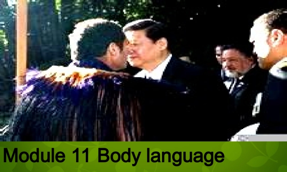 山东省茌平县洪屯镇中学七年级英语下册 Moudle 11 Unit 1 They touch noses课件 .ppt