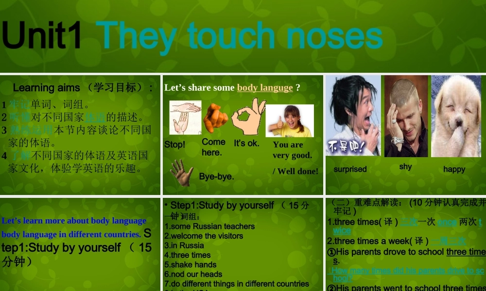 山东省茌平县洪屯镇中学七年级英语下册 Moudle 11 Unit 1 They touch noses课件 .ppt