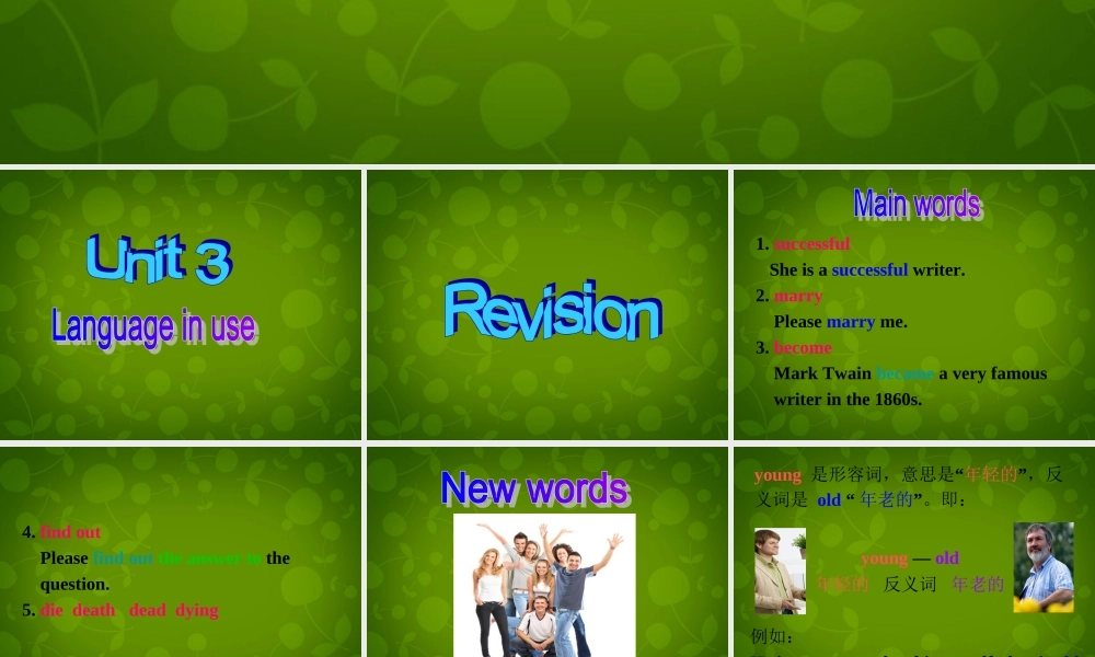 山东省茌平县洪屯镇中学七年级英语下册 Moudle 9 Unit 3 Language in use课件 .ppt