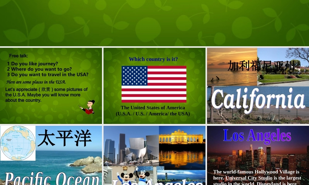 山东省茌平县洪屯镇中学七年级英语下册 Moudle 10 Unit 1 What did you do课件 .ppt