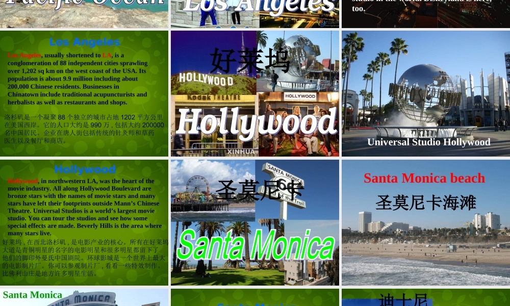 山东省茌平县洪屯镇中学七年级英语下册 Moudle 10 Unit 1 What did you do课件 .ppt