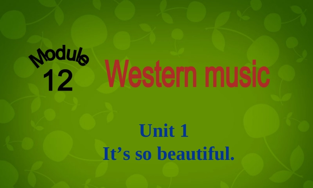 山东省茌平县洪屯镇中学七年级英语下册 Moudle 12 Unit 1 It’s so beautiful课件 .ppt