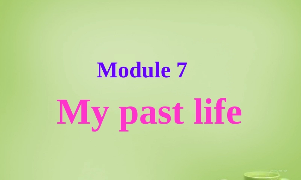 山东省聊城市茌平县洪屯中学七年级英语下册 Module 7 Unit 1 I was born in a small village课件 .ppt