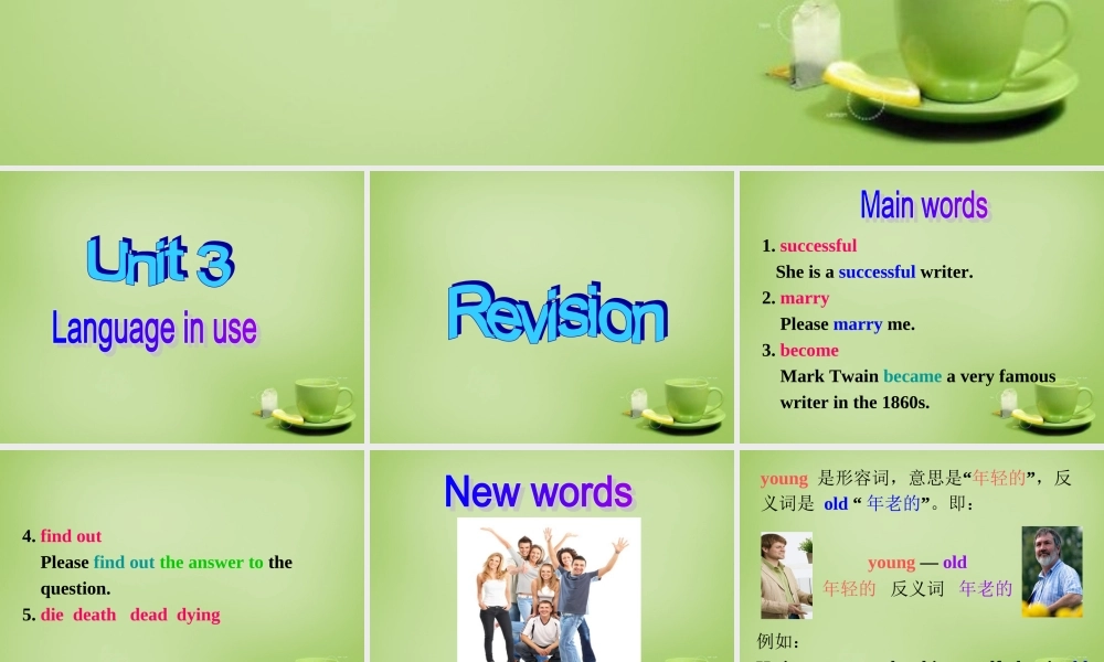 山东省聊城市茌平县洪屯中学七年级英语下册 Module 9 Unit 3 Language in use课件 .ppt