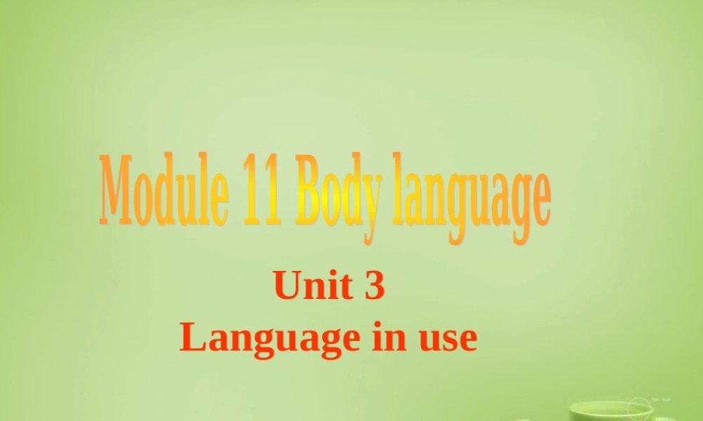 山东省聊城市茌平县洪屯中学七年级英语下册 Module 11 Unit 3 Language in use课件 .ppt