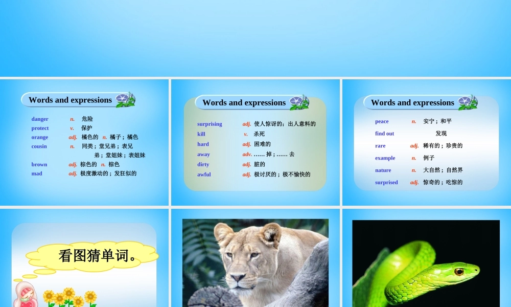 山东省寿光市实验中学八年级英语上册 Module 6 Unit 1 It allows people to get closer to them课件 .ppt