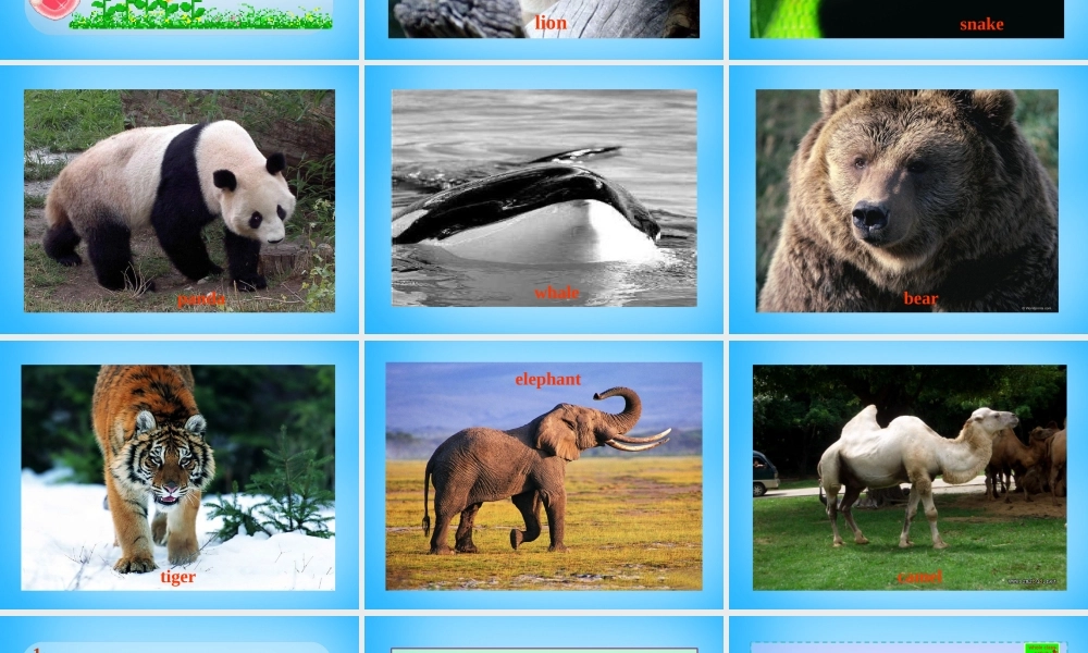 山东省寿光市实验中学八年级英语上册 Module 6 Unit 1 It allows people to get closer to them课件 .ppt