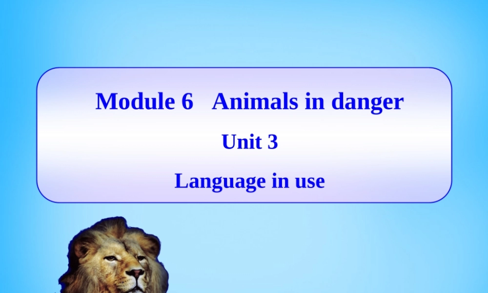 山东省寿光市实验中学八年级英语上册 Module 6 Unit 3 Language in use课件2 .ppt