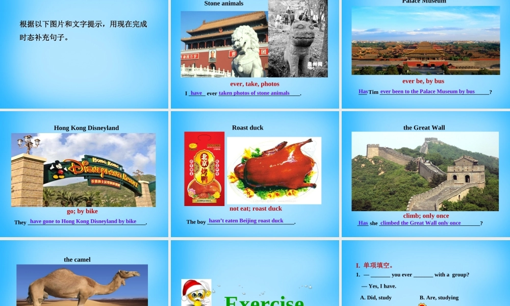 山东省寿光市实验中学八年级英语下册 Module 2 Experiences Unit 3 Language in use课件 .ppt