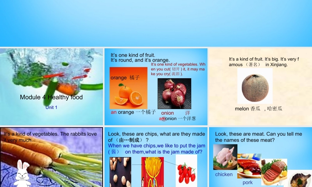 山东省寿光市实验中学七年级英语上册 Module 4 Healthy food Unit 1 We’ve got lots of apples课件 （新版）外研版.ppt