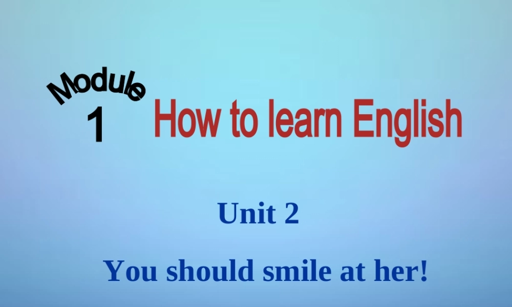 山东省潍坊高新技术产业开发区东明学校八年级英语上册 Module 1 Unit 2 You should smile at her课件 .ppt