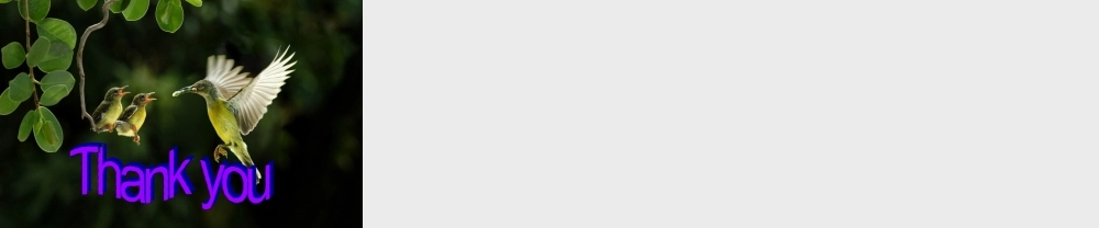 山东省潍坊高新技术产业开发区东明学校九年级英语上册 Module 6 Unit 1 If I start after dinner, I’ll finish it before I go to bed课件.ppt