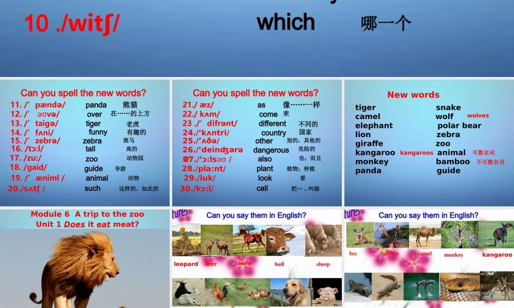 山东省潍坊高新技术产业开发区东明学校七年级英语上册 Module 6 Unit 1 Does it eat meat课件 （新版）外研版.ppt