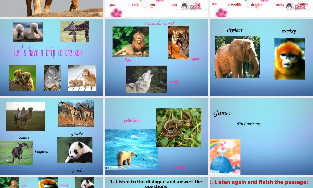 山东省潍坊高新技术产业开发区东明学校七年级英语上册 Module 6 Unit 1 Does it eat meat课件 （新版）外研版.ppt