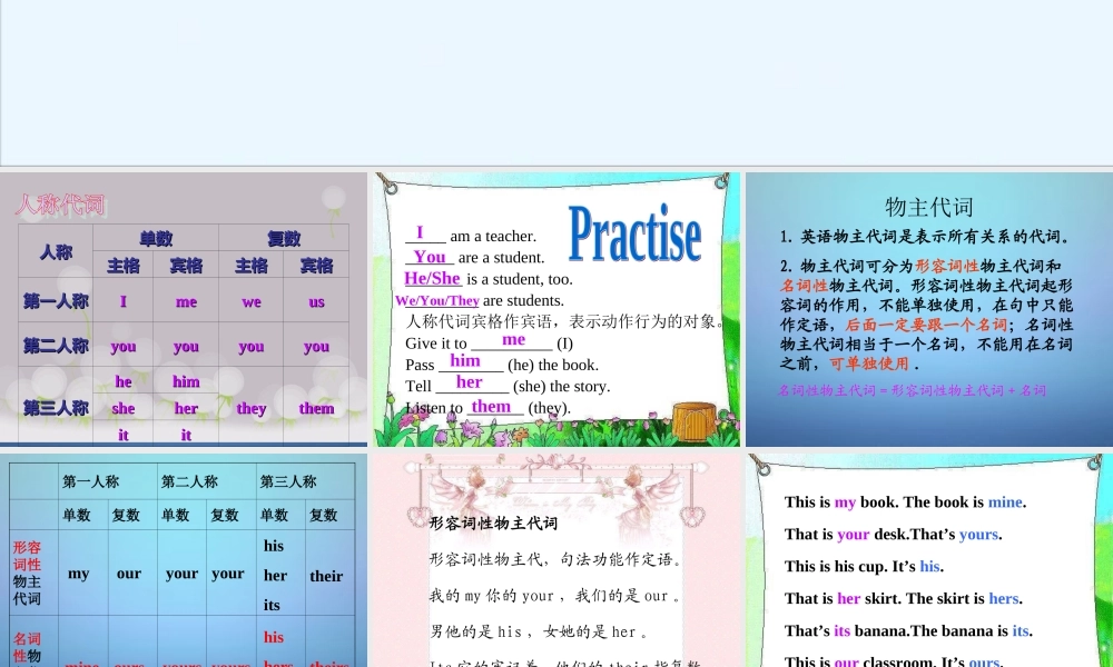 山东省潍坊高新技术产业开发区东明学校七年级英语下册 名词性物主代词课件 .ppt