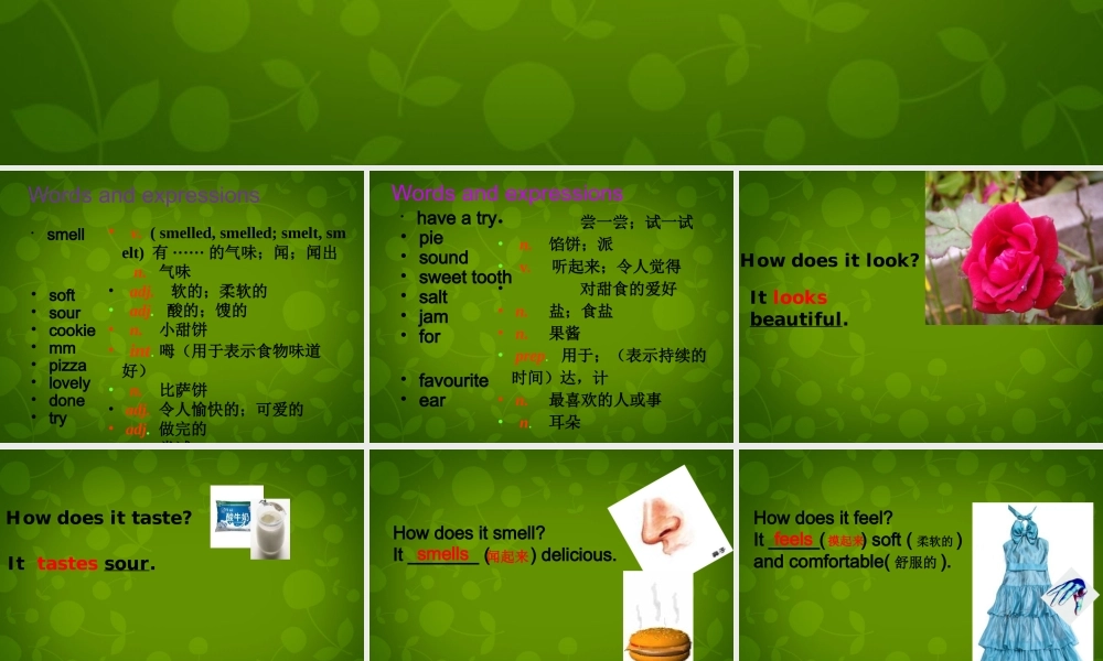山东省潍坊高新技术产业开发区浞景学校八年级英语下册《Module 1 Unit 1 It smells delicious》课件 .ppt