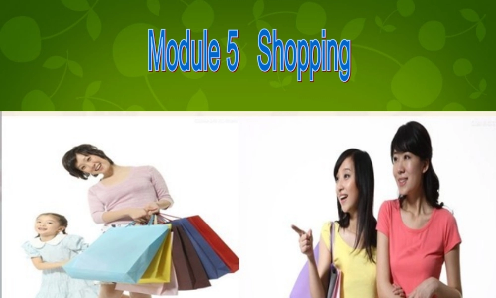 山东省阳谷县阿城镇范海中学七年级英语下册 Module 5 shopping课件 .ppt