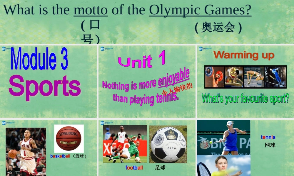 山东省阳谷县第一中学八年级英语上册 Module 3 Unit 1 Nothing is more exciting than playing tennis课件.ppt