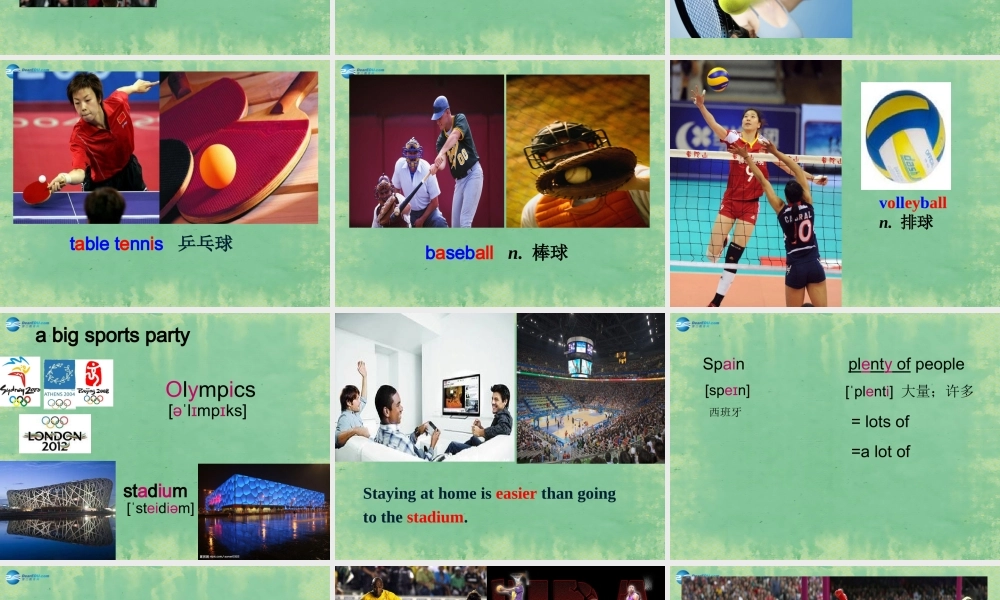 山东省阳谷县第一中学八年级英语上册 Module 3 Unit 1 Nothing is more exciting than playing tennis课件.ppt