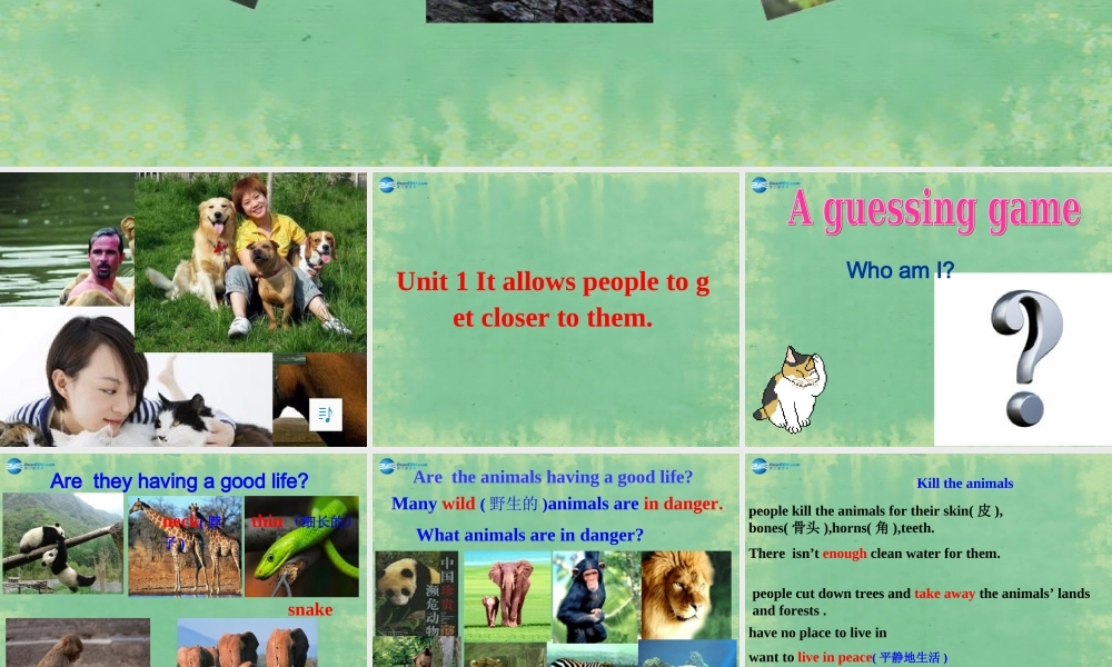 山东省阳谷县第一中学八年级英语上册 Module 6 Unit 1 It allows people to get closer to them课件.ppt