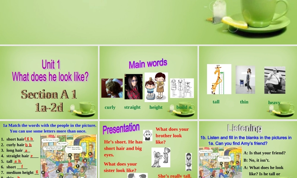 山东省淄博市周村区萌水中学七年级英语上册 Unit 1 What does he look like Section A 1课件 （新版）.ppt