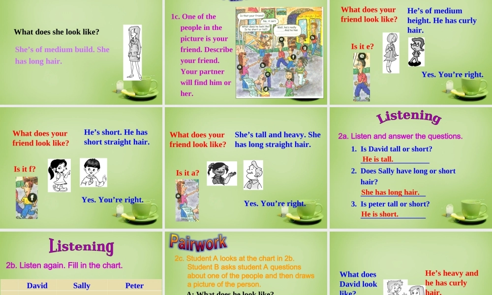 山东省淄博市周村区萌水中学七年级英语上册 Unit 1 What does he look like Section A 1课件 （新版）.ppt