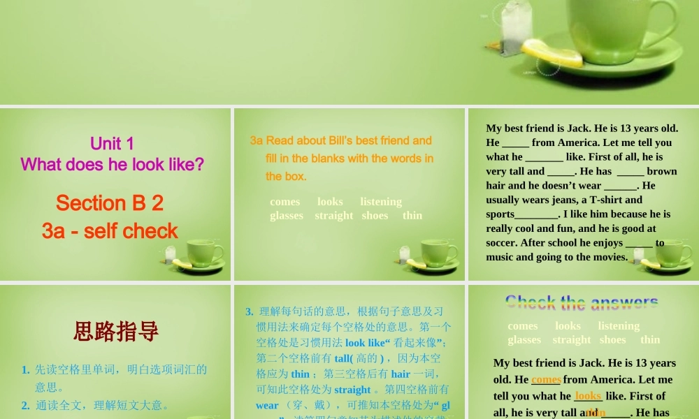 山东省淄博市周村区萌水中学七年级英语上册 Unit 1 What does he look like Section B 2课件 （新版）.ppt