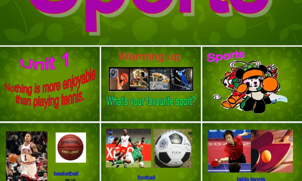 四川省华蓥市明月镇小学八年级英语上册 Module 3 Unit 1 Nothing is more exciting than playing tennis课件 .ppt