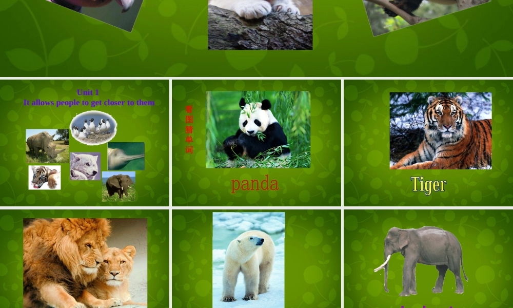 四川省华蓥市明月镇小学八年级英语上册 Module 6 Unit 1 It allows people to get closer to them课件 .ppt