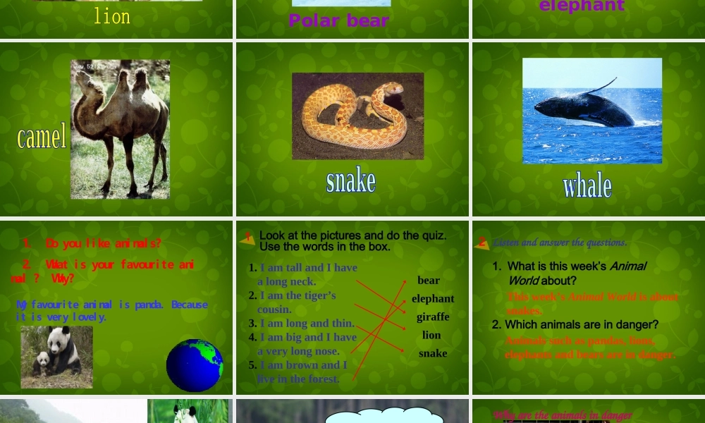 四川省华蓥市明月镇小学八年级英语上册 Module 6 Unit 1 It allows people to get closer to them课件 .ppt