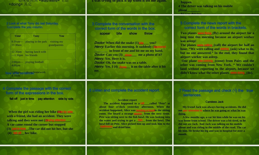 四川省华蓥市明月镇小学八年级英语上册 Module 8 Unit 3 Language in use课件 .ppt
