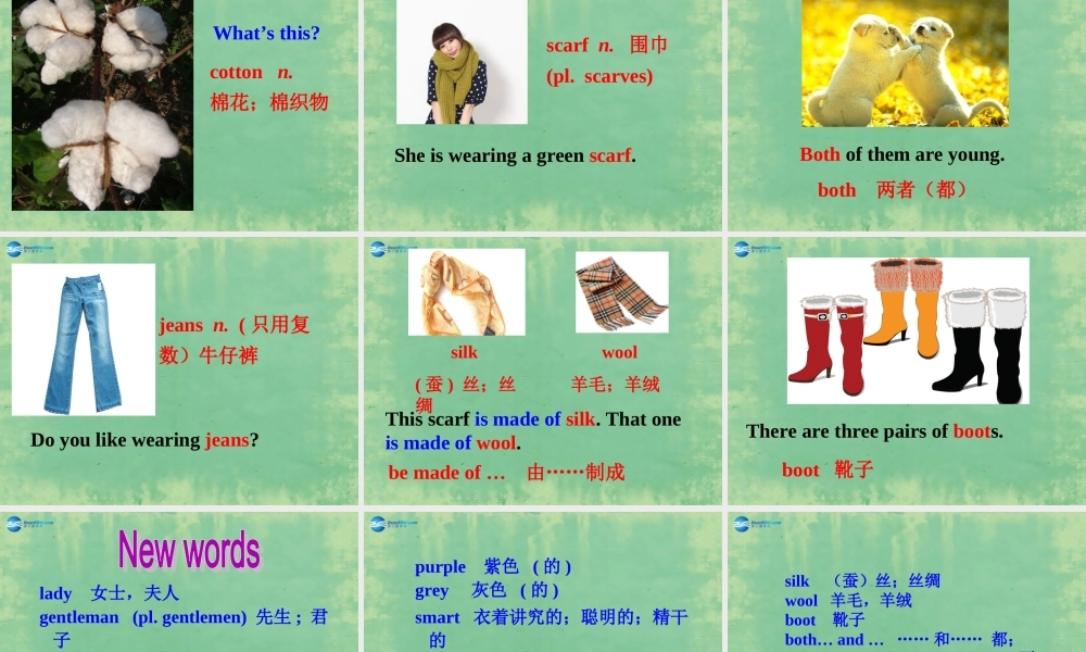 新七年级英语上册 Unit 8 Fashion Reading课件 .ppt