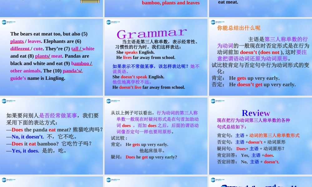 辽宁省凌海市石山初级中学七年级英语上册 Module 6 Unit 1 Does it eat meat？课件 （新版）外研版.ppt