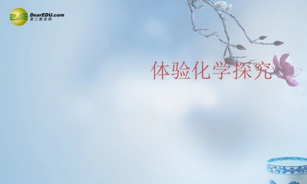 鲁教初中化学九上《1第2节 体验化学探究》PPT课件 (1).ppt