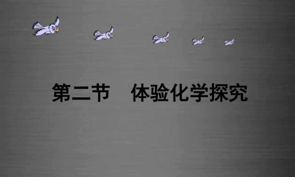 鲁教初中化学九上《1第2节 体验化学探究》PPT课件 (3).ppt
