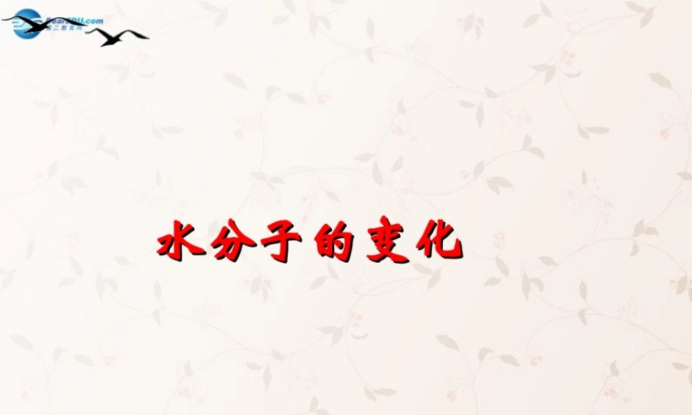 鲁教初中化学九上《2第2节 水分子的变化》PPT课件 (5).ppt