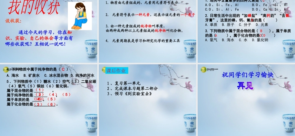 鲁教初中化学九上《2第4节 元素》PPT课件 (1).ppt