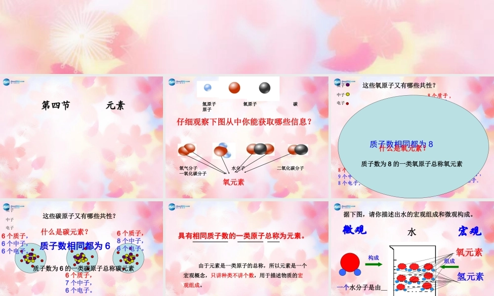 鲁教初中化学九上《2第4节 元素》PPT课件 (4).ppt