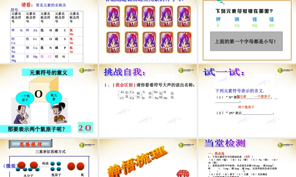 鲁教初中化学九上《2第4节 元素》PPT课件 (5).ppt