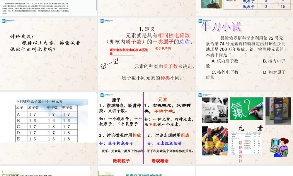 鲁教初中化学九上《2第4节 元素》PPT课件 (6).ppt