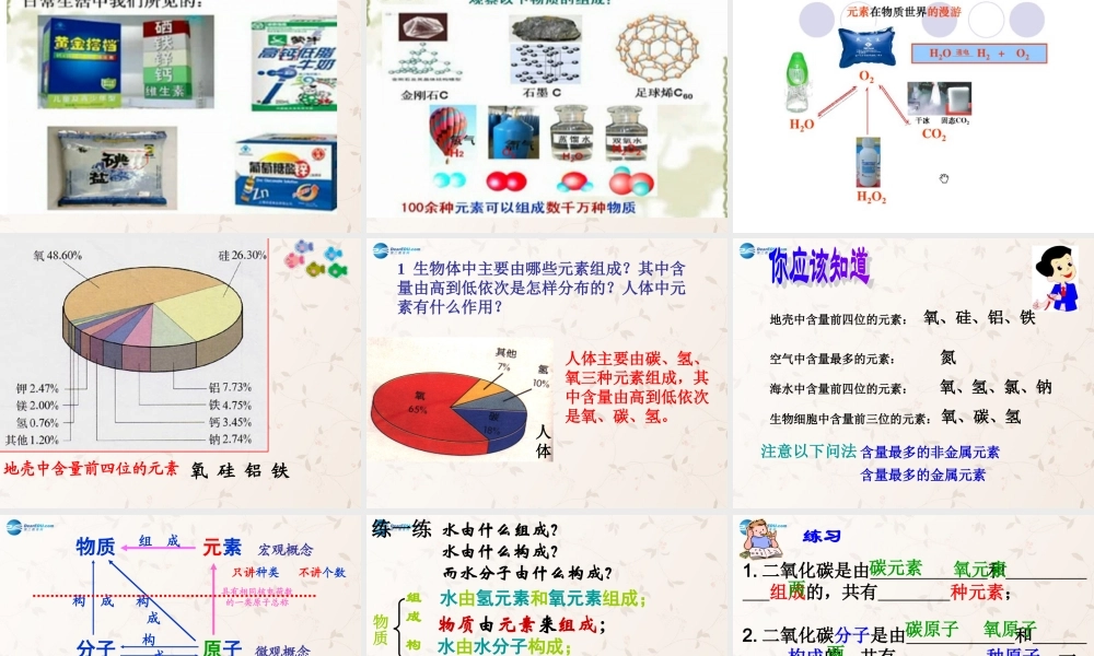 鲁教初中化学九上《2第4节 元素》PPT课件 (6).ppt